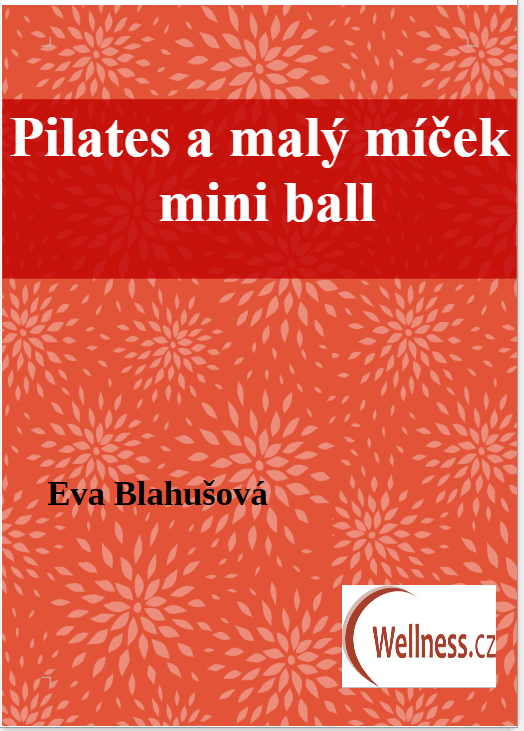 Snímek obrazovky 2025-12-17 134024